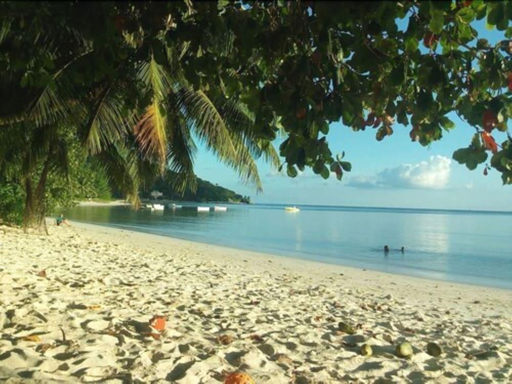 Palm Beach Hotel Grand Anse  Exterior foto