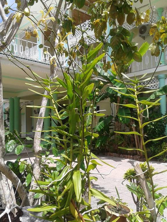 Palm Beach Hotel Grand Anse  Exterior foto